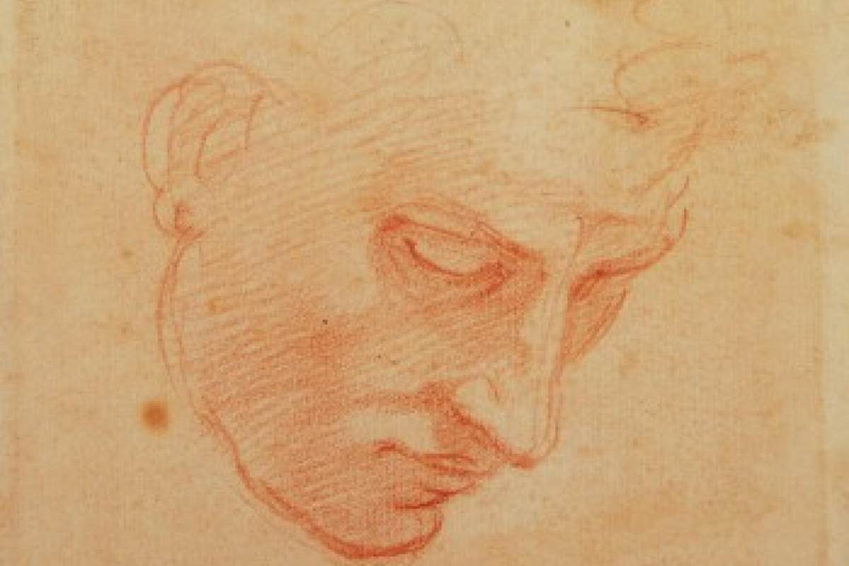 ritratto di michelangelo buonarroti