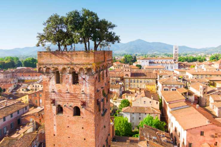 lucca